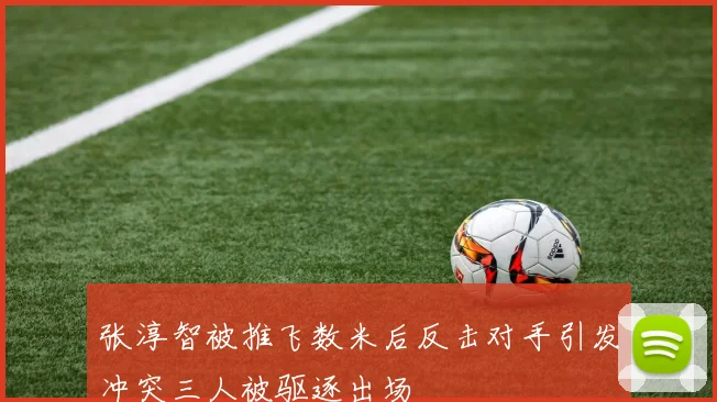 张淳智被推飞数米后反击对手引发冲突三人被驱逐出场